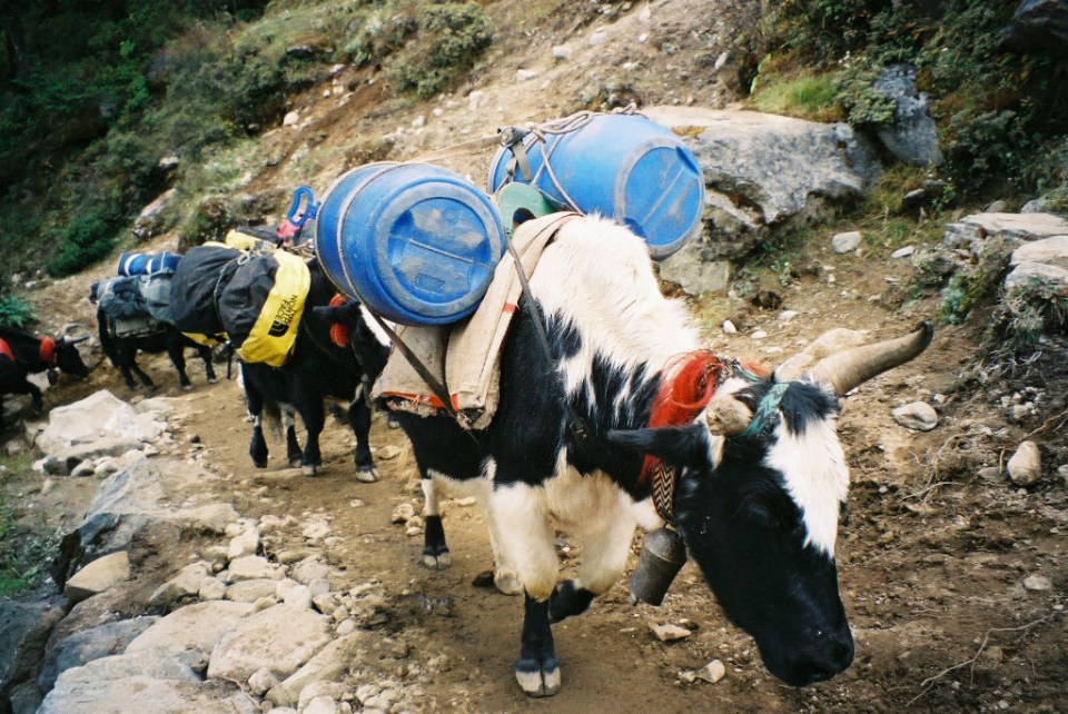 On the Everest trail
