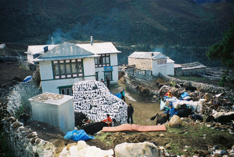 We stayed overnight at the Paradise Lodge at Pangboche (3901m)