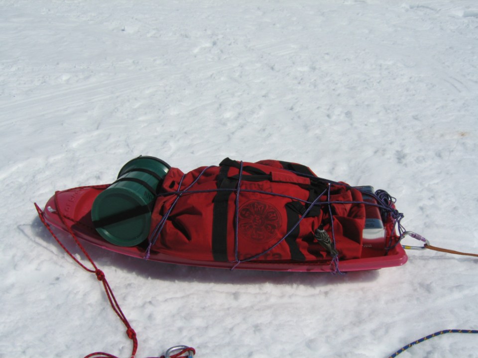 Curious little bird hitching a lift on our sled