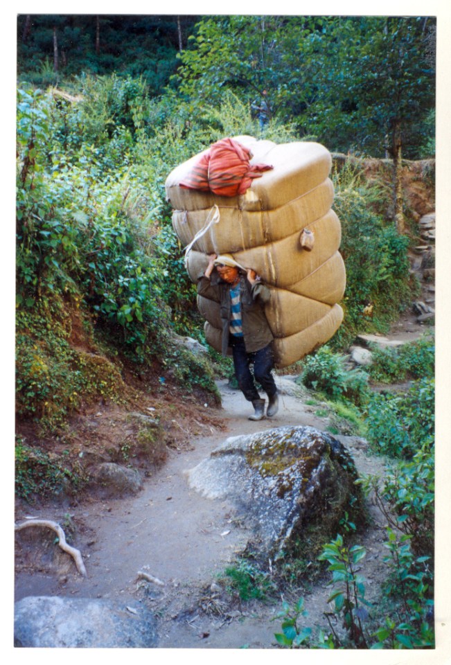 i hope he made it.....