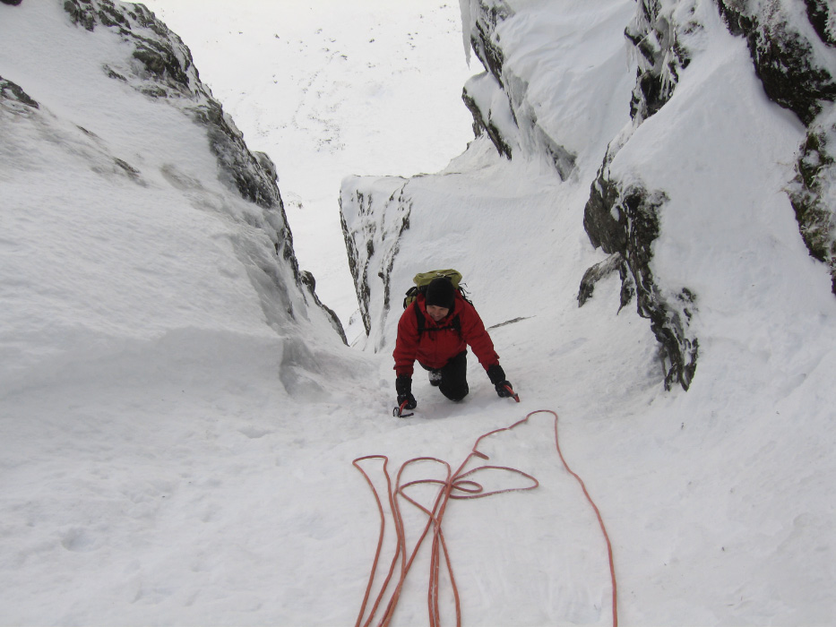 Taxus, Beinn an Dothaidh, Feb 2009