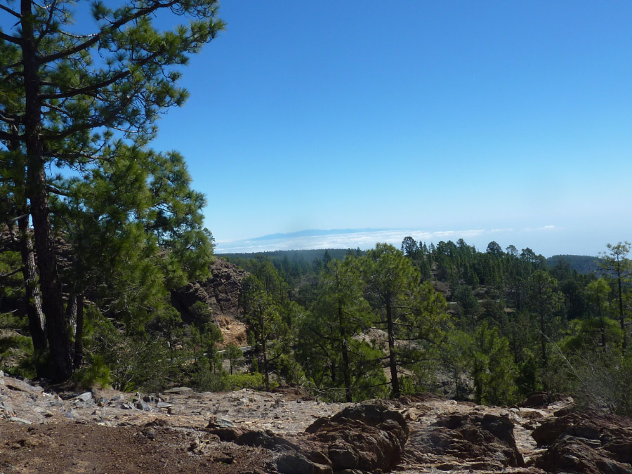 Gran Canaria floating in the clouds above the Coronal forrest