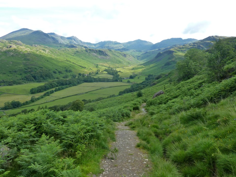 The upper Esk Valley