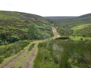 Track leading round to Baysdale Moor