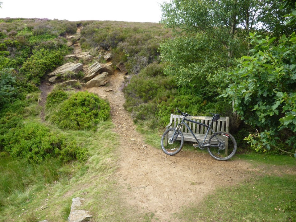 Seat at Hograh Beck, a lovely spot