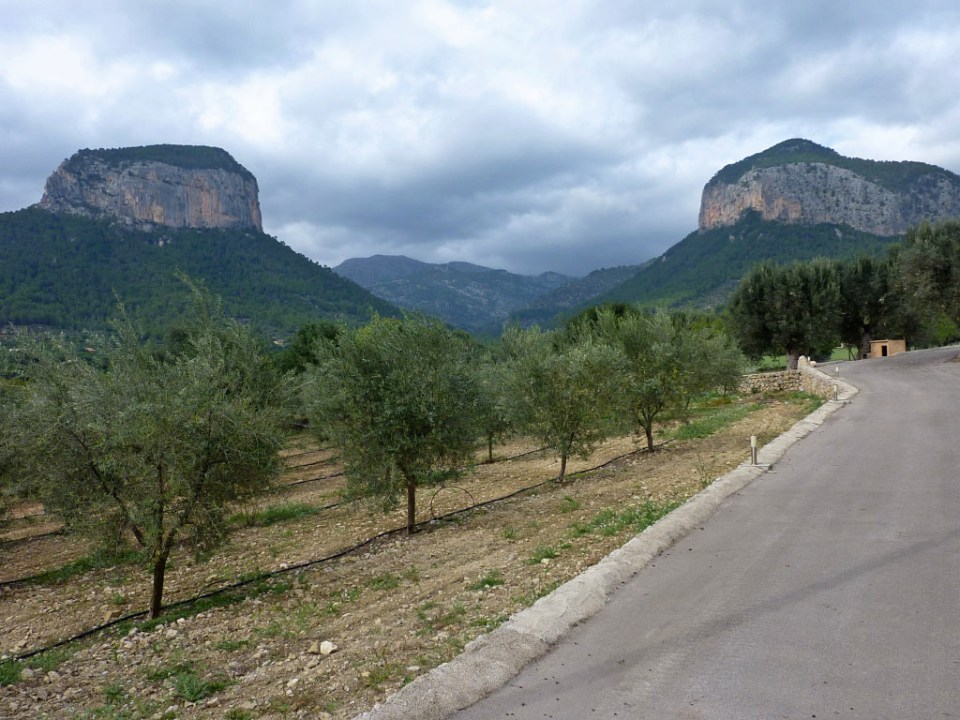 Views from near Alaro