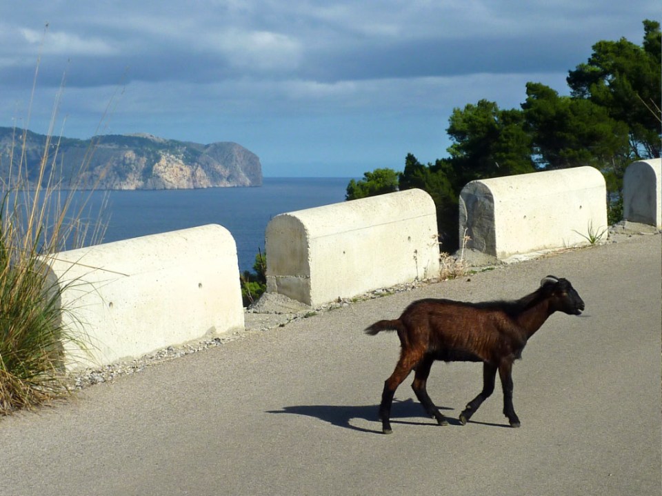 Ermita de la Victoria ride