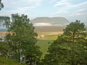 Early morning sunshine on way to The Linn of Dee