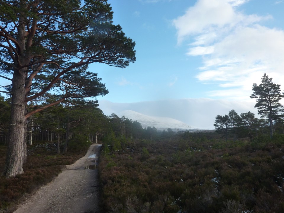 Track to Loch Einich